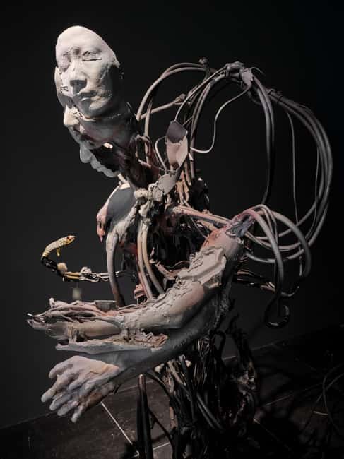 Frankfurter Kunstverein: Your Ticket to Art - Who should book this ticket, and who should think twice