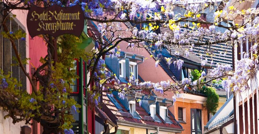 Freiburg: Gässle, Bächle and More City Tour - Quick hits: Gässle, Bächle, and the best city-center stops