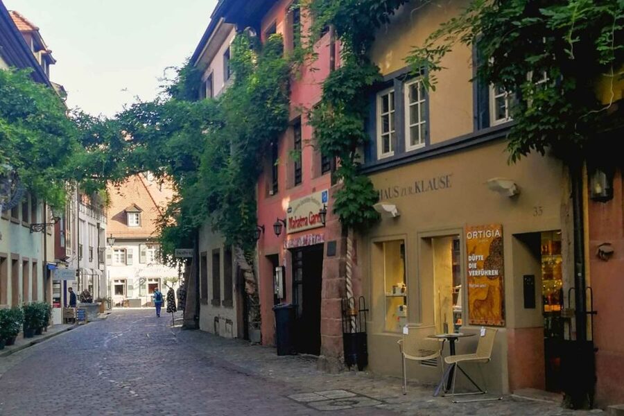 Freiburg: Gässle, Bächle and More City Tour - Who should take this Freiburg city tour, and who should skip it