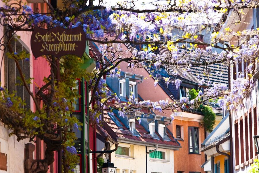 Freiburg: Gässle, Bächle and More City Tour - Freiburg’s Gässle and Bächle: the details that make the city click