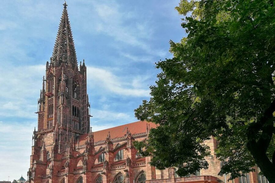 Freiburg: Gässle, Bächle and More City Tour - Price and value in 1.5 hours: what you’re really paying for