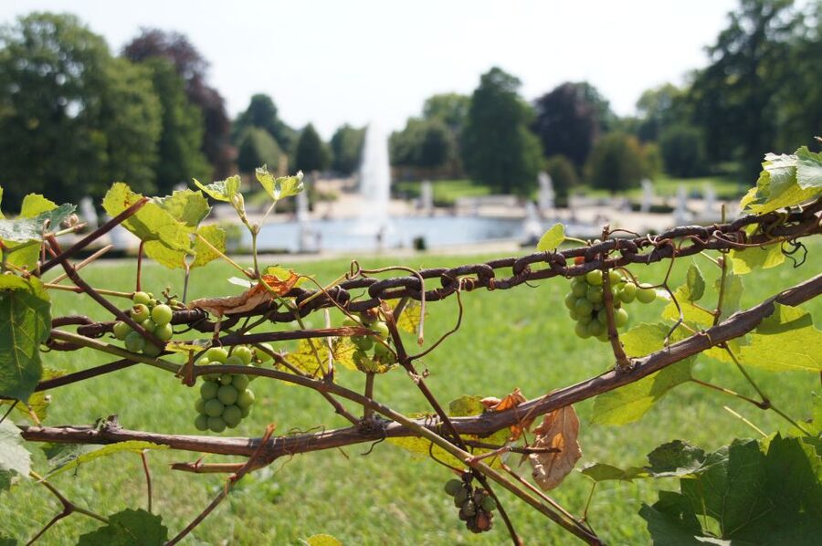 From Berlin: Potsdam Half-Day Tour in Spanish - The Imperial City route: Frederick the Great to the Hohenzollerns