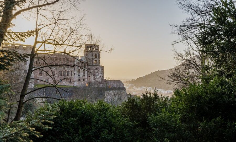 From Frankfurt: Day Tour to Heidelberg with Local Guide - Heidelberg Castle, where the architecture and the views do the talking