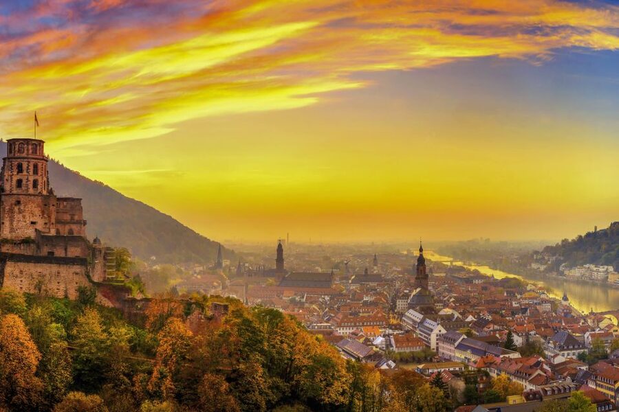 From Frankfurt: Heidelberg, Castle and Old City Guided Tour - Transport and Seating Reality: Van Comfort vs. Bus Crampedness