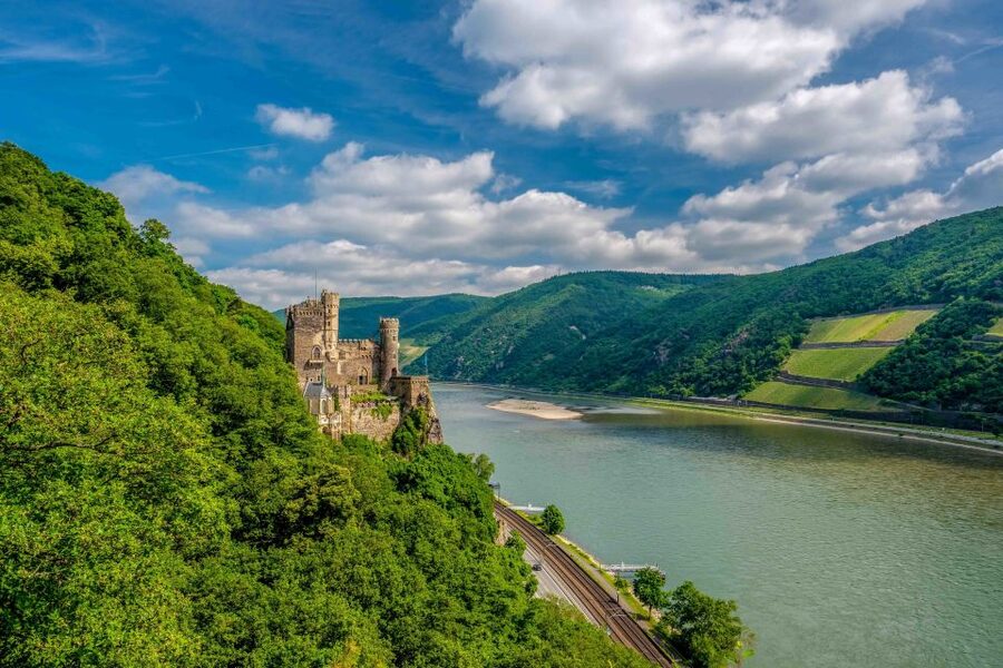 From Frankfurt: Rhine Valley Day Trip - Rüdesheim, Niederwald Monument, and Assmannshausen lunch by the river
