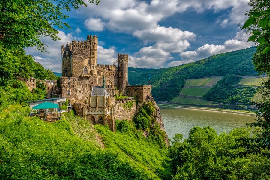 From Frankfurt: Rhine Valley Day Trip - Wine history lesson and the Assmannshausen tasting: small samples, big context