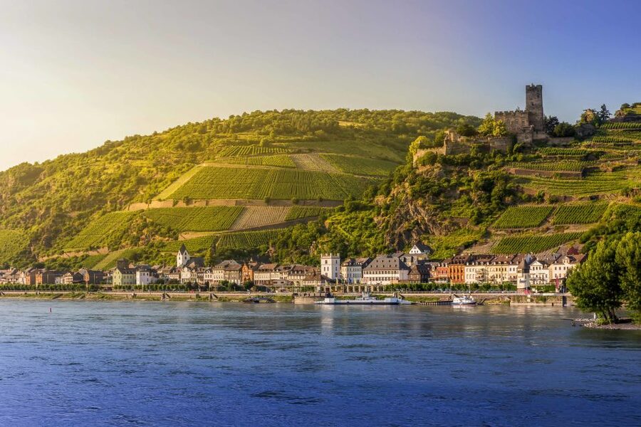 From Frankfurt: Rhine Valley Day Trip - Price and value: is $175 per person a good deal?