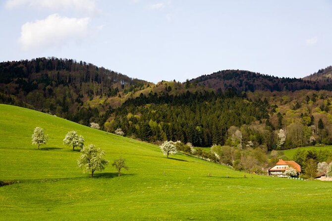 from Frankfurt - romantic Black Forest & brewery, private tour - Key highlights you will feel on the road