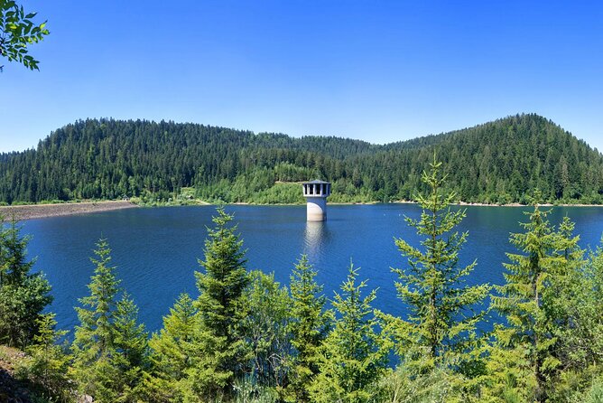 from Frankfurt - romantic Black Forest & brewery, private tour - Zauberland an der Kinzig and HerrZeit cuckoo clock stop