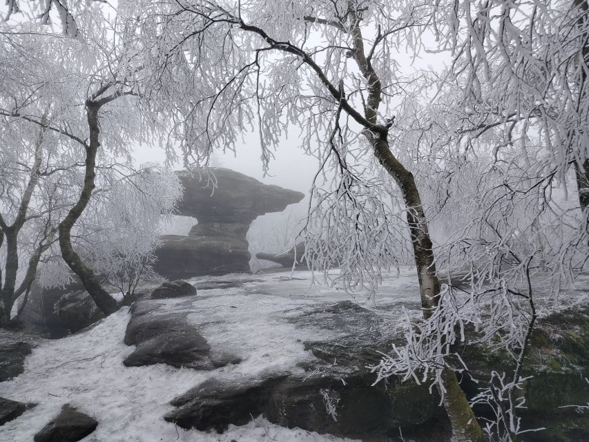 From Prague: Bohemian & Saxon Switzerland Iconic Day Trip - Price and value: is $151 a fair deal?