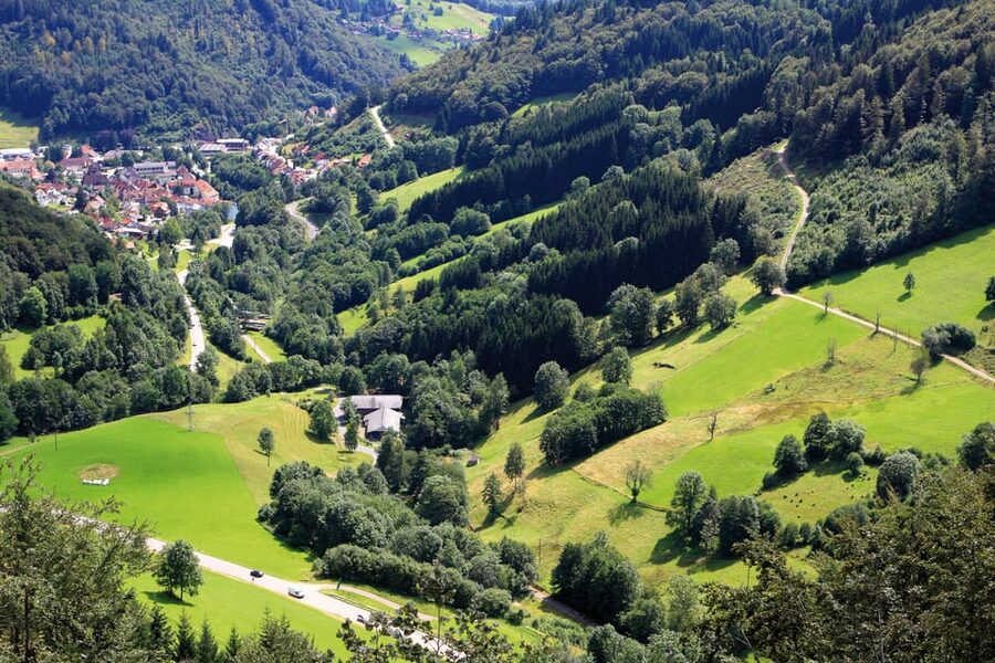 From Strasbourg: Black Forest and Baden Baden Day Trip - Who should book (and who should skip)