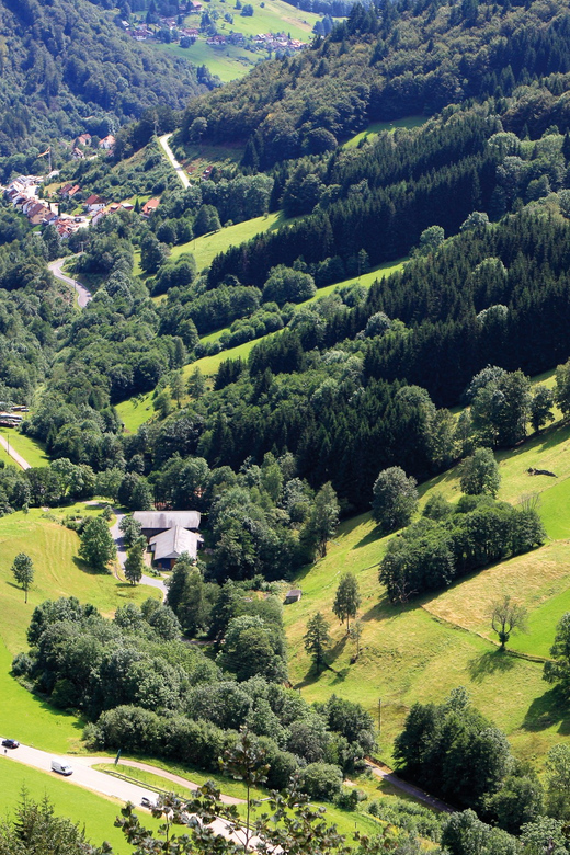 From Strasbourg: Black Forest and Baden Baden Day Trip - Schwarzwaldhochstrasse: viewpoint stops that turn driving into sightseeing
