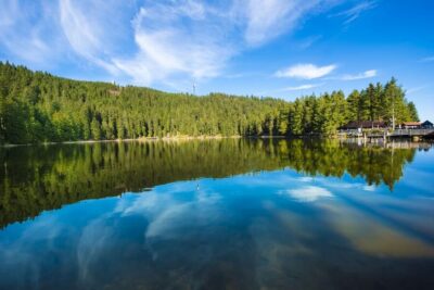 From Strasbourg: Black Forest and Baden Baden Day Trip