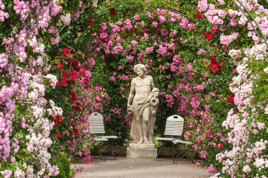 From Strasbourg: Black Forest and Baden Baden Day Trip - Badischerweinstrasse on the return drive: wine route views without the long detour