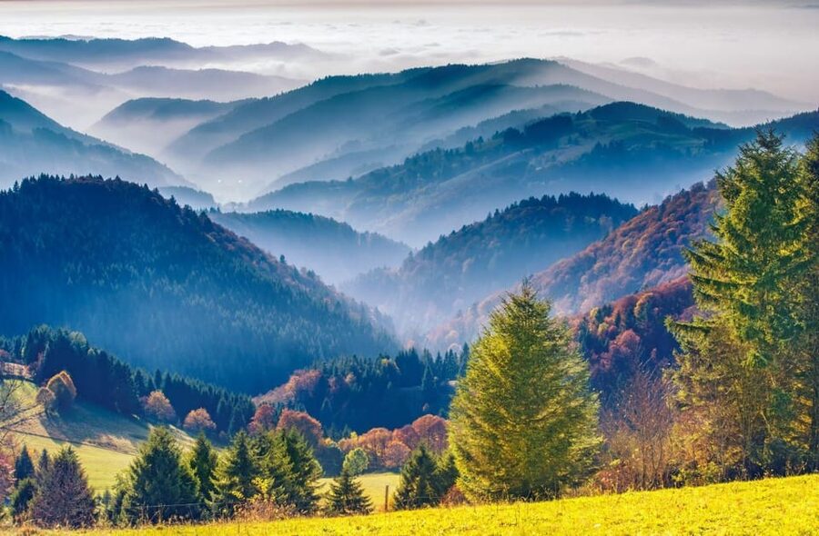 From Strasbourg: Black Forest and Baden Baden Day Trip - Small-group comfort: why the minivan format feels worth it