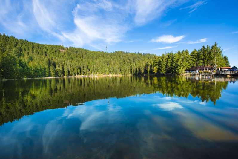 From Strasbourg: Black Forest and Baden Baden Day Trip - Price and value: is $253 a smart deal for this route?