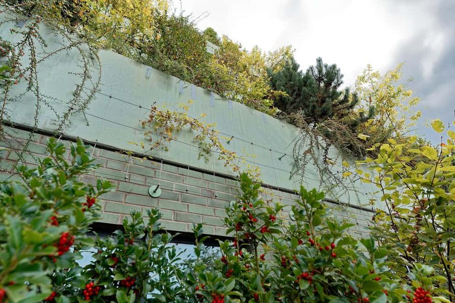 Green Bunker Tour on St. Pauli – the original - Who should book the Green Bunker on St. Pauli