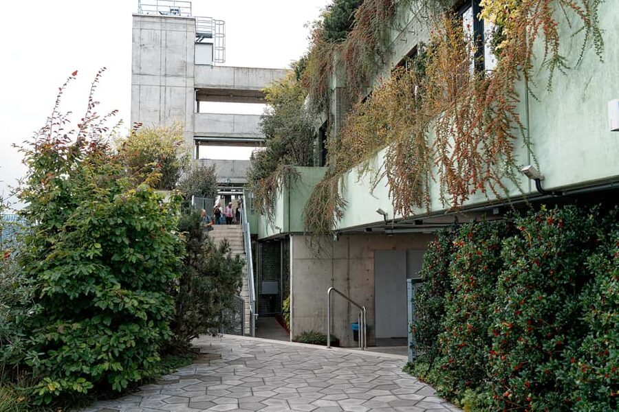 Green Bunker Tour on St. Pauli – the original - The greening concept, how 4700 trees turn concrete into an ecosystem