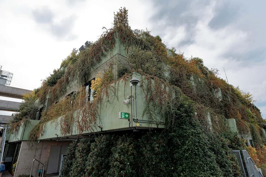 Green Bunker Tour on St. Pauli – the original - Guides you can feel, Axel’s clarity and Stefan’s adaptability