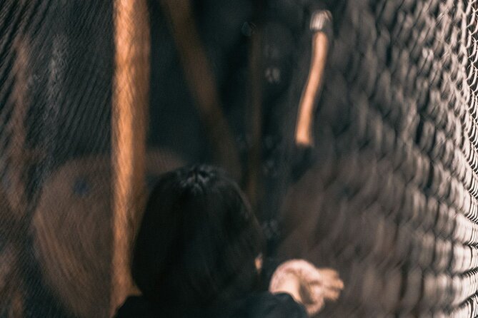 Guided Axe Throwing Experience in Frankfurt Altstadt - Who This Is Best For (and Who Might Skip It)