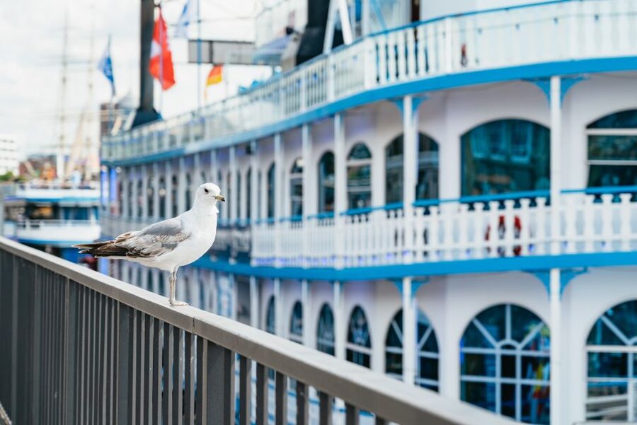 Hamburg: 1-Hour Harbor Sightseeing Cruise with HafenCity - A One-Hour Cruise That Works as Hamburg Orientation