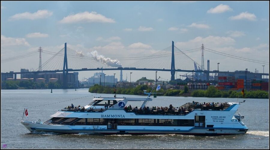 Hamburg: 2-Hour Sightseeing Cruise to Blankenese - Parkhafen, Waltershofer Hafen, and Finkenwerder: the working-harbor education part