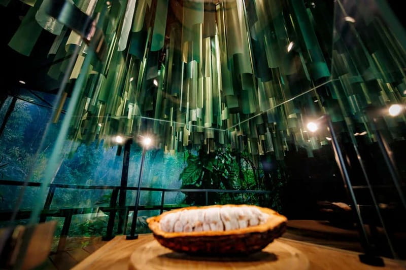 Hamburg: Chocoversum Guided Tour with Tastings - Logistics you can plan for without stress