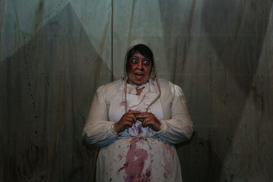 Hamburg: Hamburg Dungeon Admission Ticket - Price and value for one hour of high-production entertainment