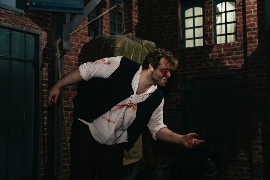 Hamburg: Hamburg Dungeon Admission Ticket - Language planning: German tours with limited English sessions