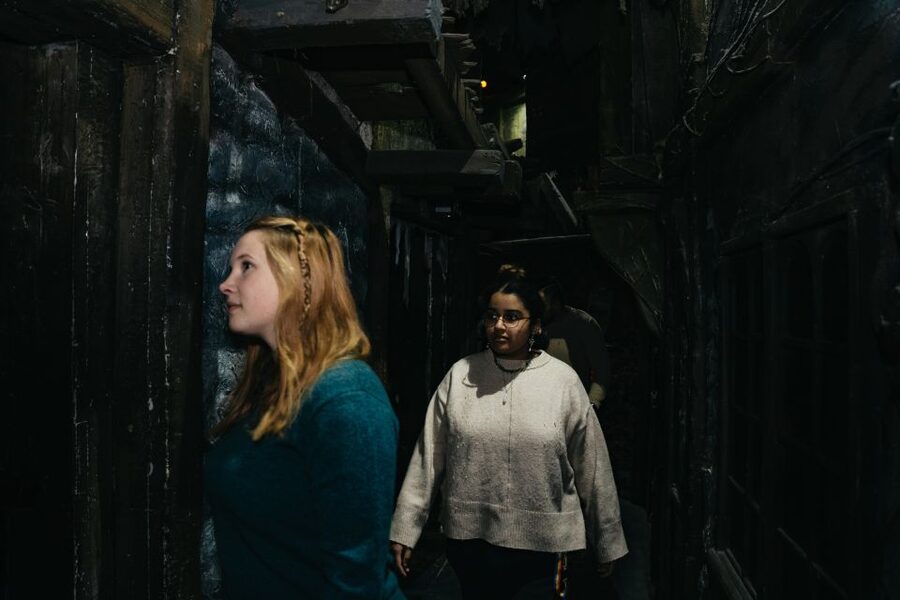 Hamburg: Hamburg Dungeon Admission Ticket - Should you book Hamburg Dungeon tickets?