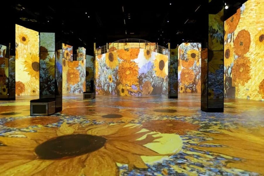 Hamburg: Port des Lumières Vermeer & Van Gogh - Price and value: about $21 for one hour