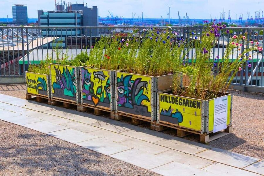 Hamburg: Walking tour of the Green Bunker in St. Pauli - Plants, sustainability, and why this conversion matters