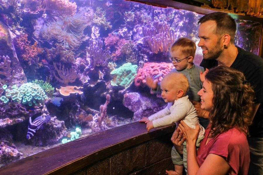 Hanover: SEA LIFE Entry Ticket - Key highlights you should plan around