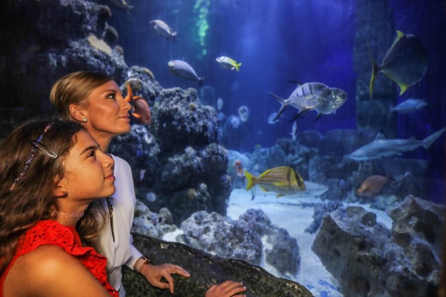 Hanover: SEA LIFE Entry Ticket - The one-day flow: from Leine River habitats to the ocean tunnel