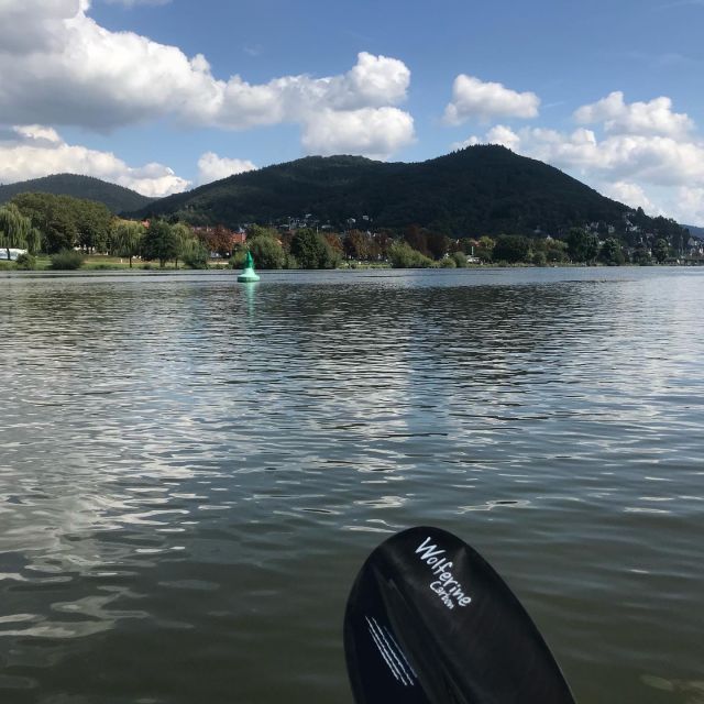 Heidelberg: 2-Hour Kayak Tour - Key highlights at a glance