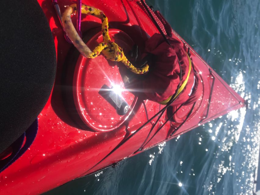 Heidelberg: 2-Hour Kayak Tour - Price and value: is $81 per person worth it?
