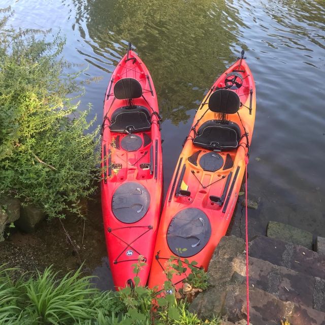 Heidelberg: 2-Hour Kayak Tour - Who should book this Heidelberg Neckar kayak tour?