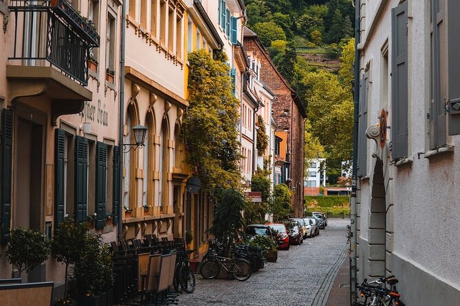 Heidelberg Castle and City Day Tour from Frankfurt - Guides Michael and Stephen: why the narration changes the whole day