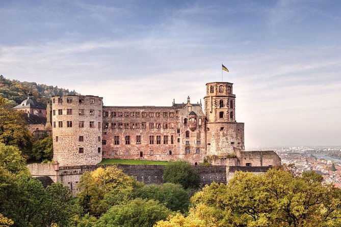 Heidelberg Castle and Old Town Tour from Frankfurt - Price and Value, What $154.99 Actually Covers
