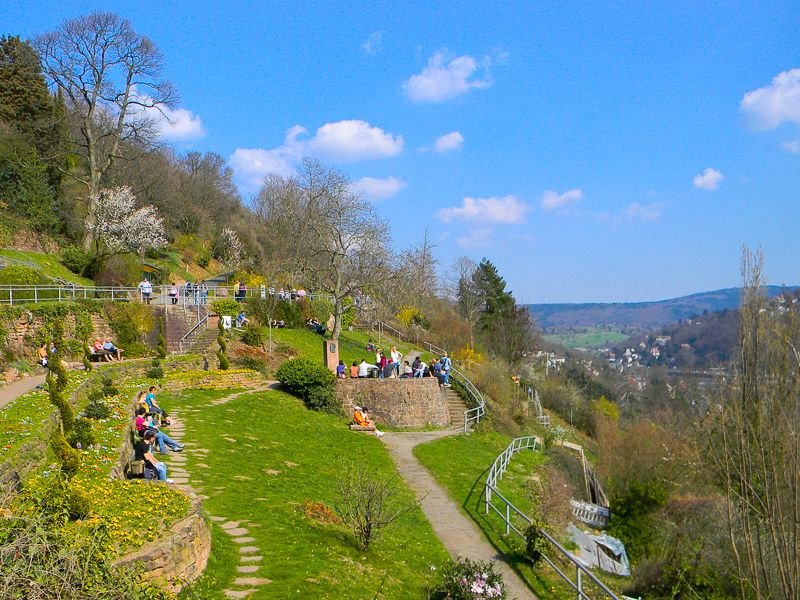 Heidelberg Castle Tour: Residence of the Electors - Key Things That Make This Tour Worth It