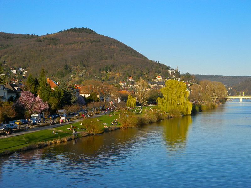 Heidelberg: City of Romance 2-Hour Walking Tour - Church of the Holy Spirit, Tomb of the Palatinate Electors