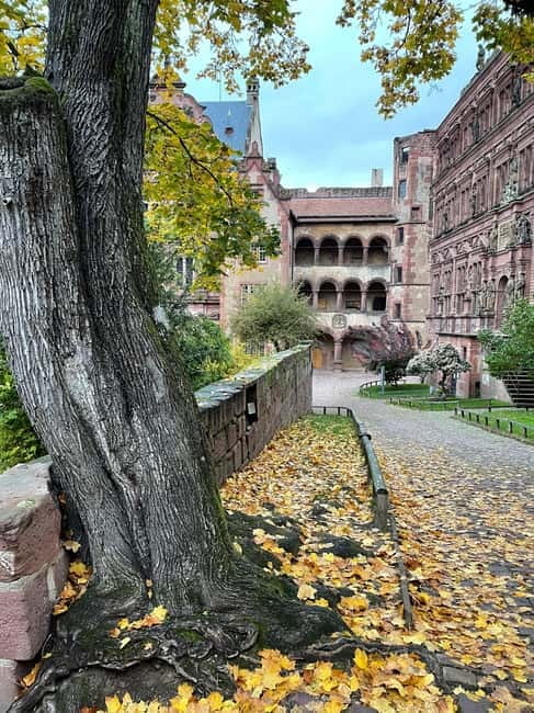 Heidelberg: Discover Heidelberg Castle – experience history up close - First steps: the meeting point and what starts the experience fast