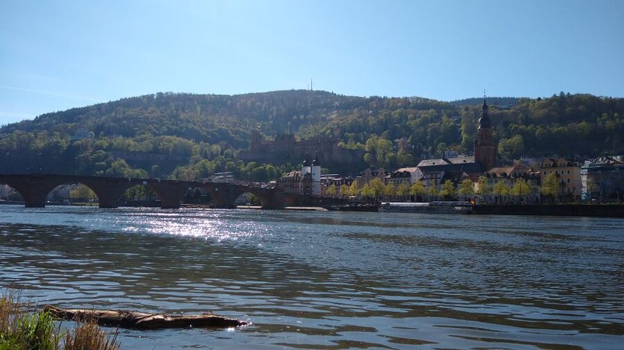 Heidelberg: Guided Bike Tour - Getting Oriented: Where You Start and How the Tour Feels