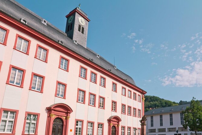 Heidelberg old Town Tour. - Key things to know before you go