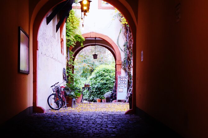 Heidelberg - Old Town tour Including Castle visit - Schloss Heidelberg: lightning, fires, and the Heidelberg Tun you will not forget