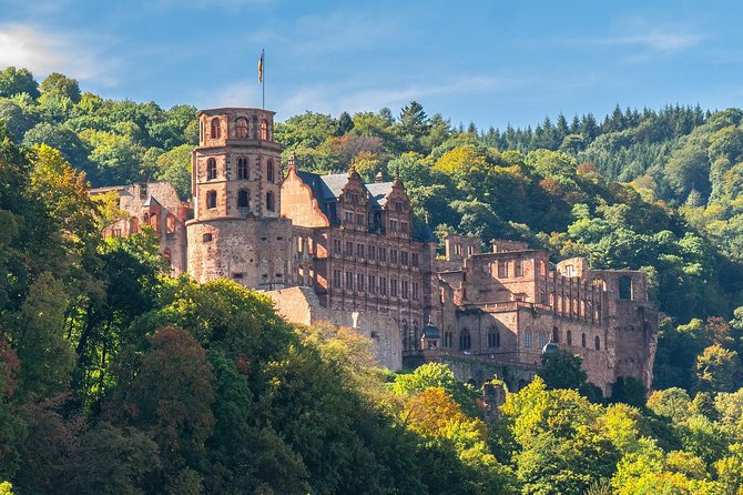 Heidelberg Private Walking Tour with a Local - Key things that make this tour worth your time