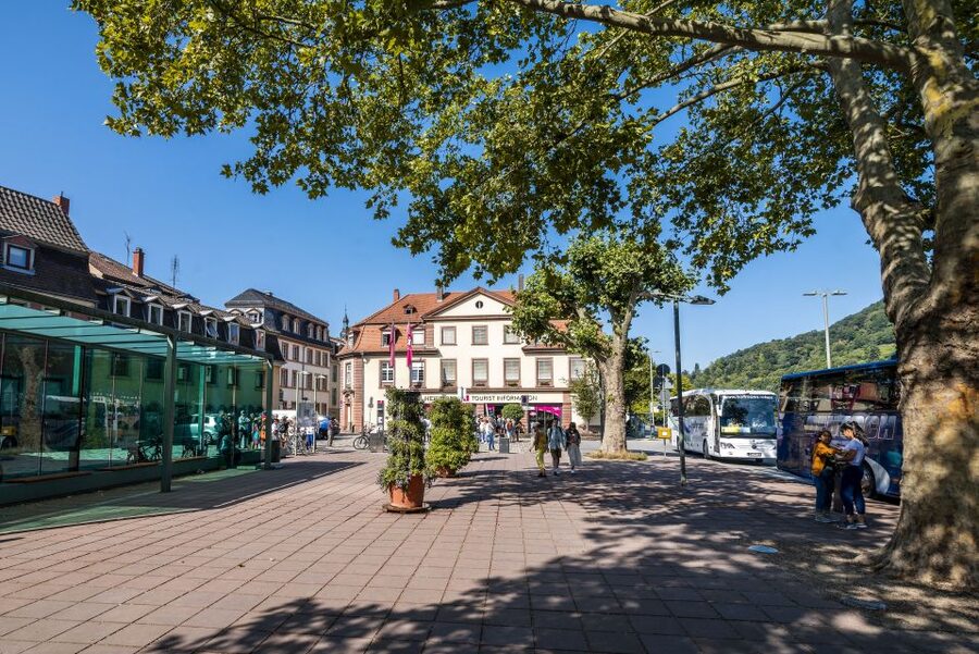 Heidelberg: Sightseeing Bus and Castle Tour - A smart, two-stop way to see Heidelberg: bus first, castle second