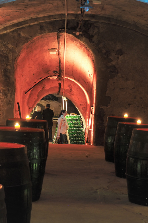 Koblenz: Sektmuseum Histor. Kelllergewölbe incl. 1 Glas Sekt - Who Should Book This Sektmuseum Tour (and Who Might Skip It)