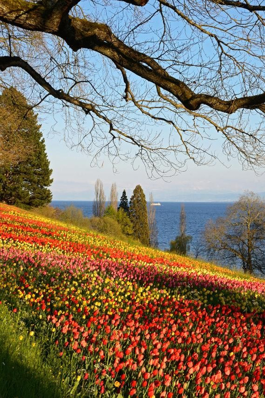 Konstanz: Mainau Island Entry Ticket - Key things I’d mark on your plan