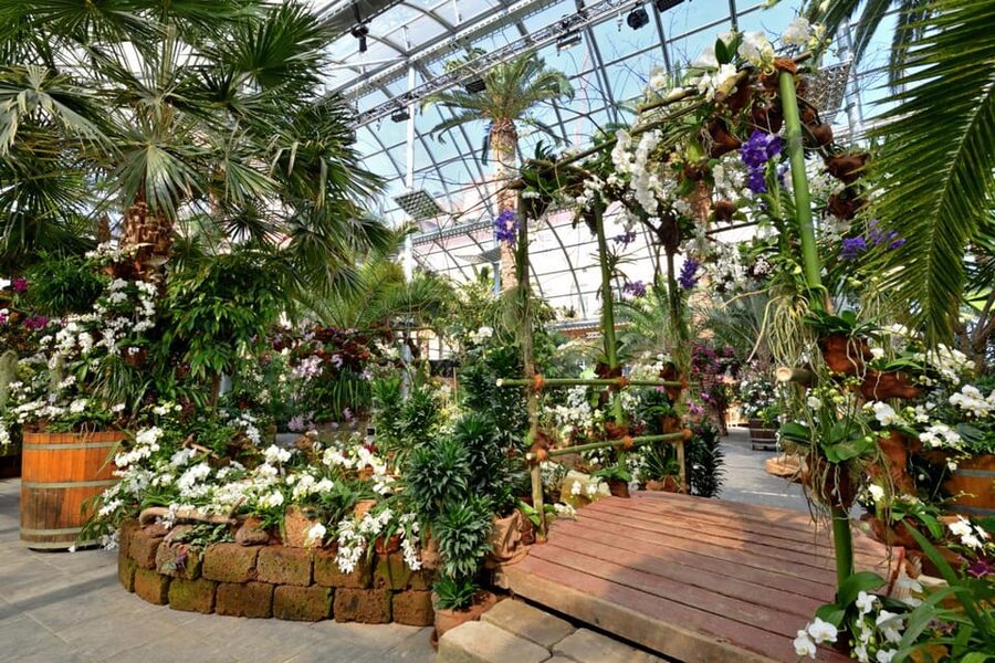 Konstanz: Mainau Island Entry Ticket - When to go: winter calm vs late-December letdowns